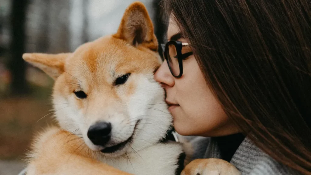 Dog cuddling with owner, feeling safe and calm after anxiety triggers
