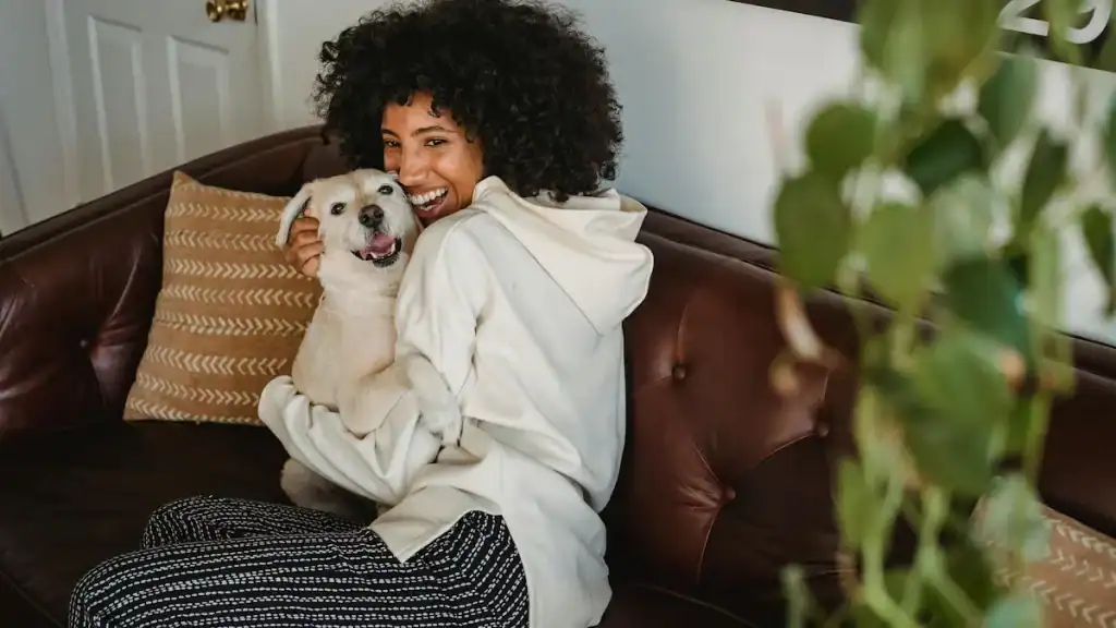 Dog receiving gentle massage therapy to calm anxiety naturally
