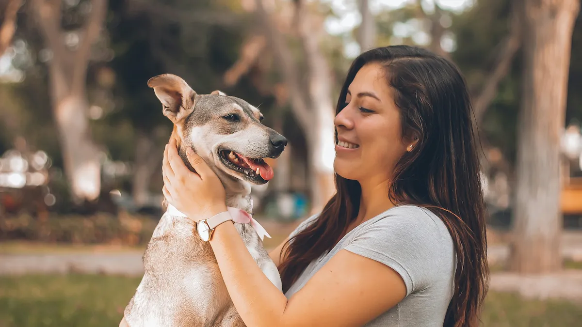seek professional help for dog anxiety